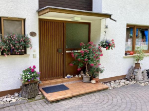 Cosy and spacious apartment with balcony in the Black Forest